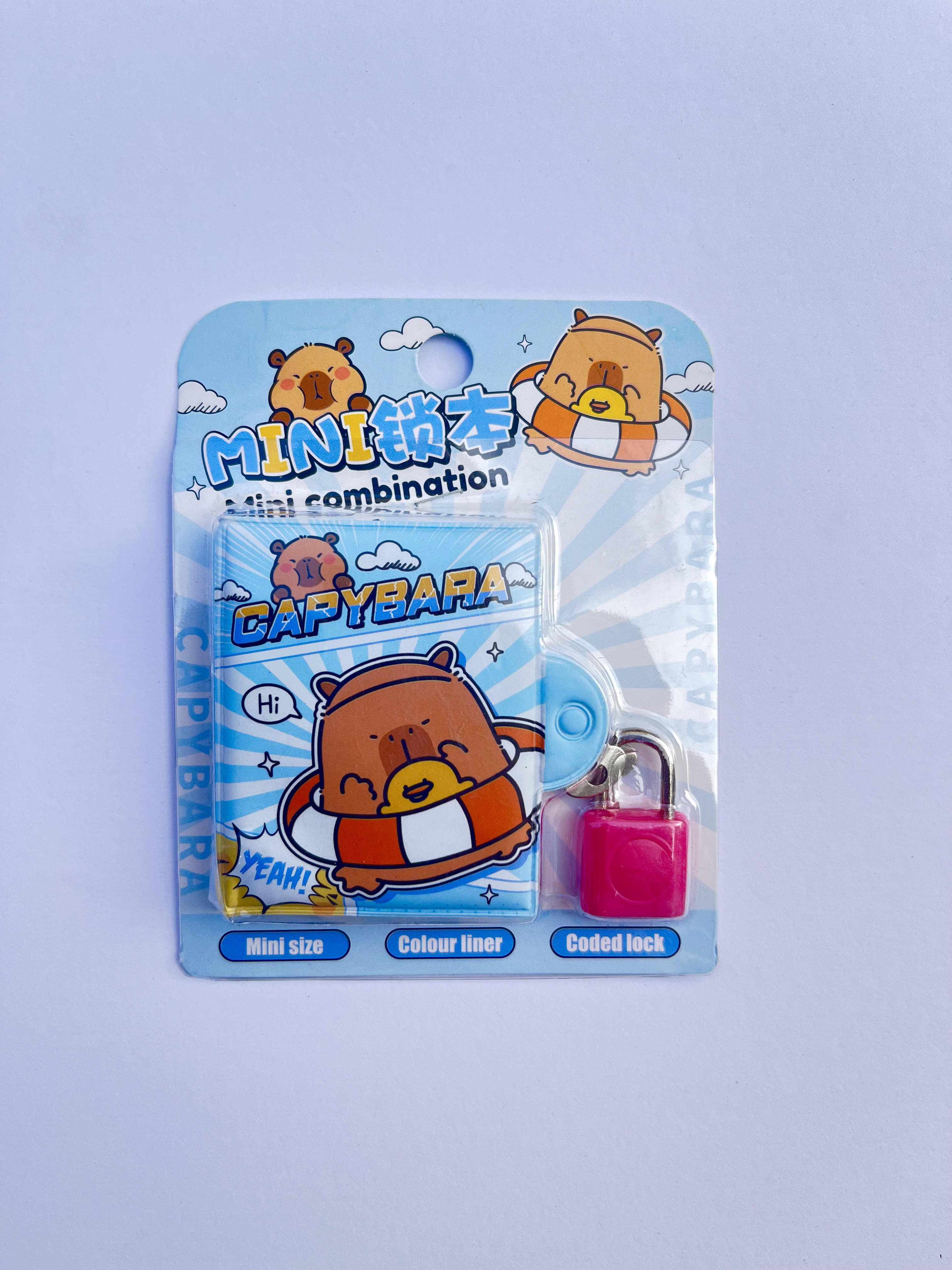 مینی دفترچه