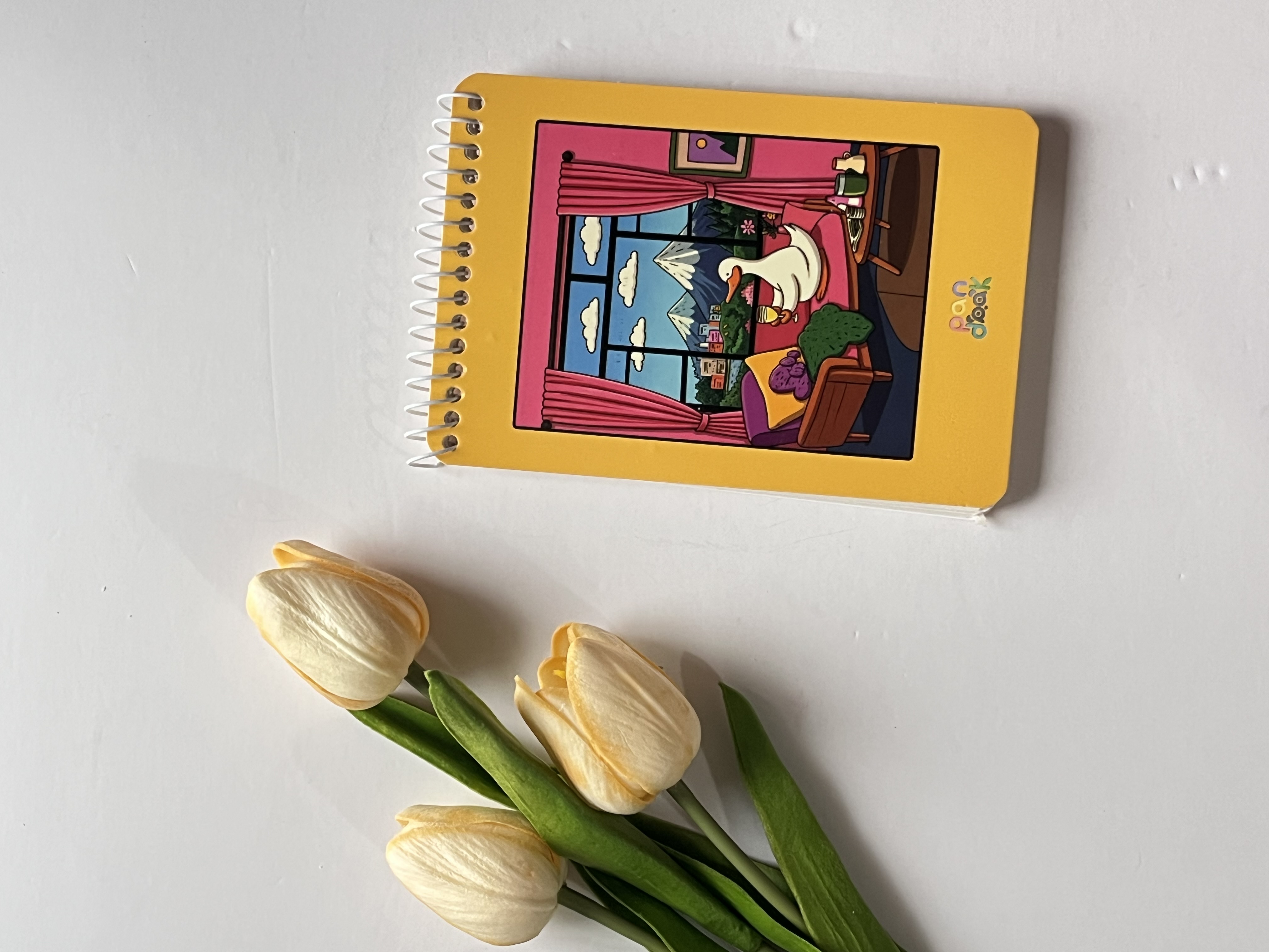 دفترچه سری کیمبرلی
